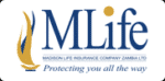 Madison Life Insurance Company Zambia Limited