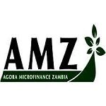 Agora Microfinance Zambia Limited (AMZ)
